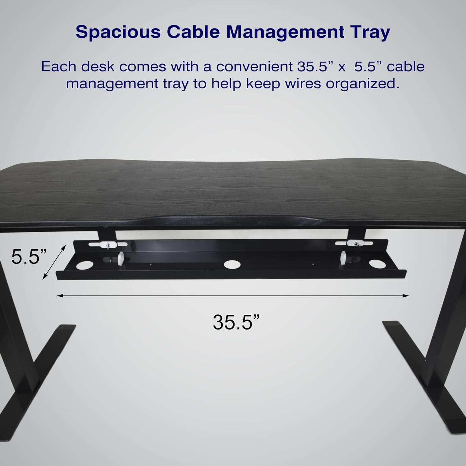 71" x 33" Electric Height Adjustable Desk with Curved Teak Top and Black Frame R880