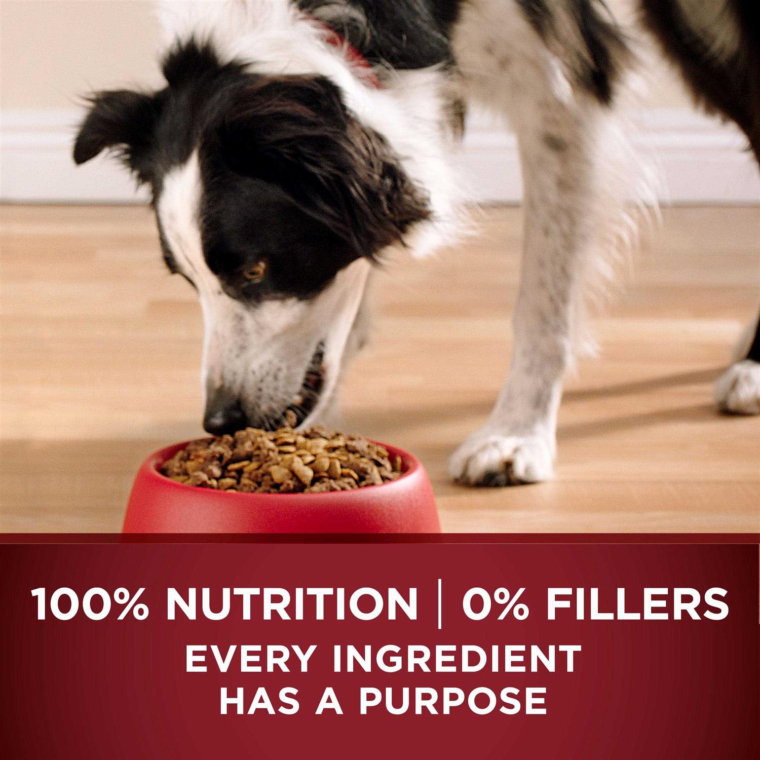 Grain Free Natural Dry Dog Food G258