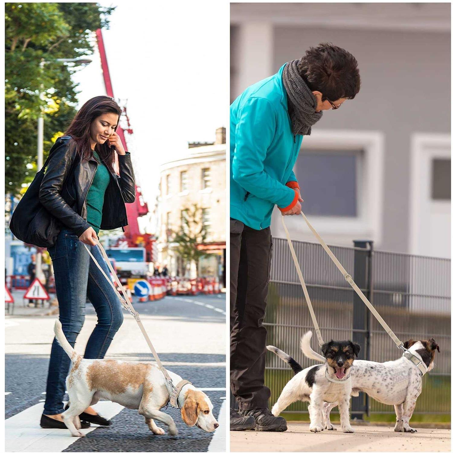 Waterproof Dog Leash with 2 Hooks, Adjustable Lengths L924
