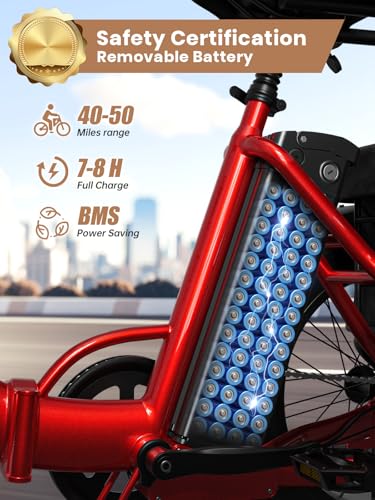 Electric Trike 20" Fat Tire 3 Wheel Folding Electric Tricycle R3621