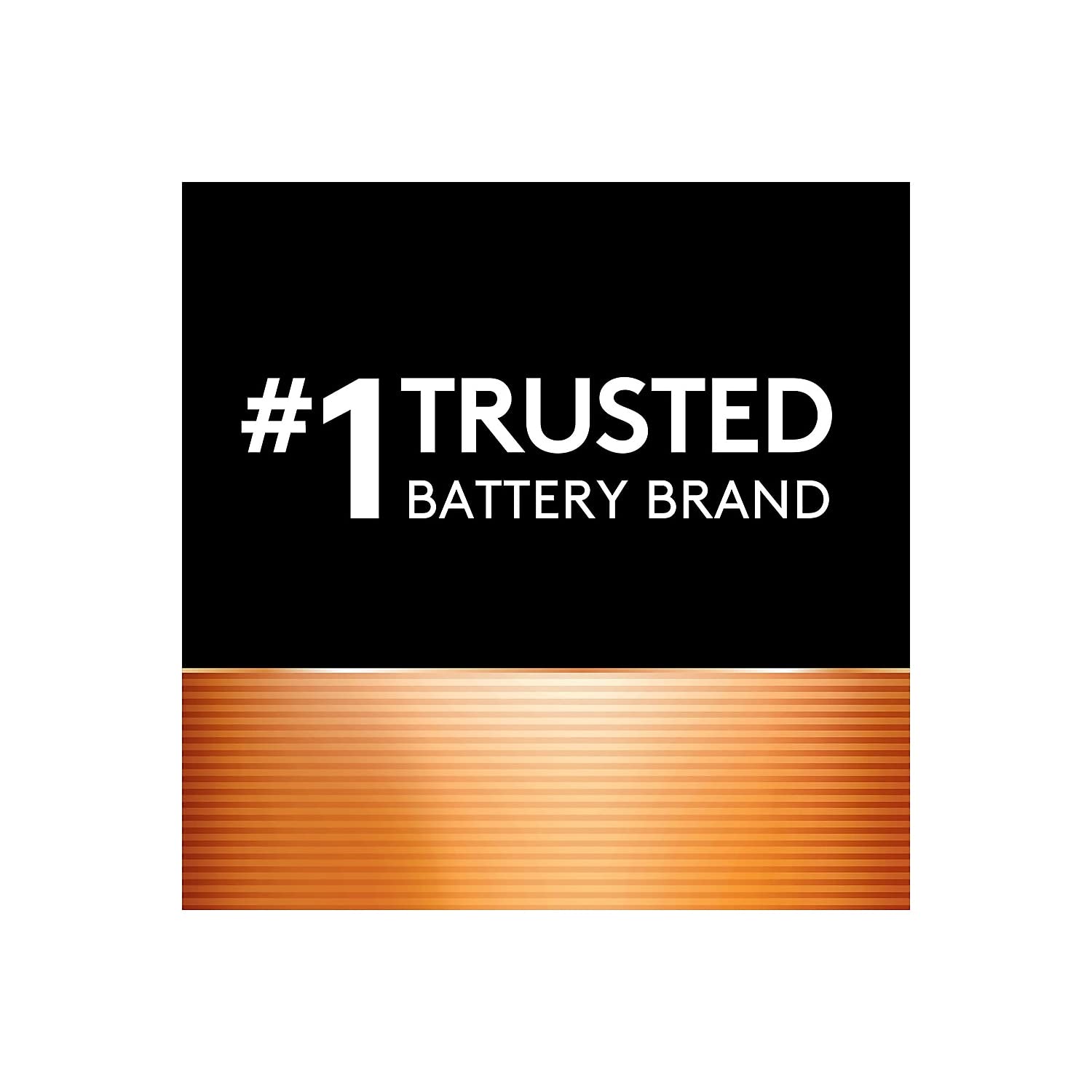 AA Alkaline Batteries 24/Pack M417