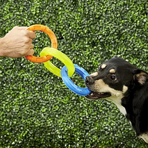 10.5in Rubber 3-Ring Tug Dog Toy, Blue/Green/Orange T467989