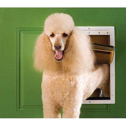 Extreme Weather Pet Door F678293
