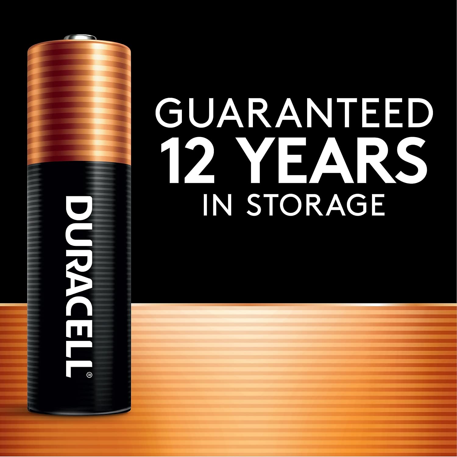 AA Alkaline Batteries 24/Pack M417