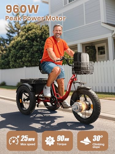 Electric Trike 20" Fat Tire 3 Wheel Folding Electric Tricycle R3621