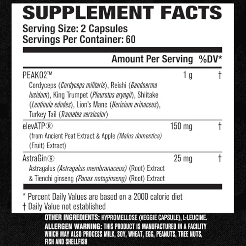 60 Veggie Pills Muscle Building Supplement X688