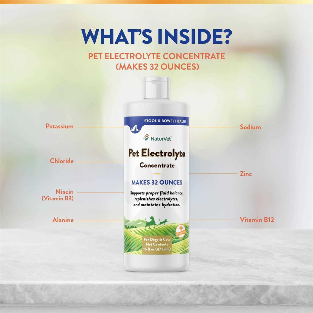 16 oz Pet Electrolyte Concentrate X38724