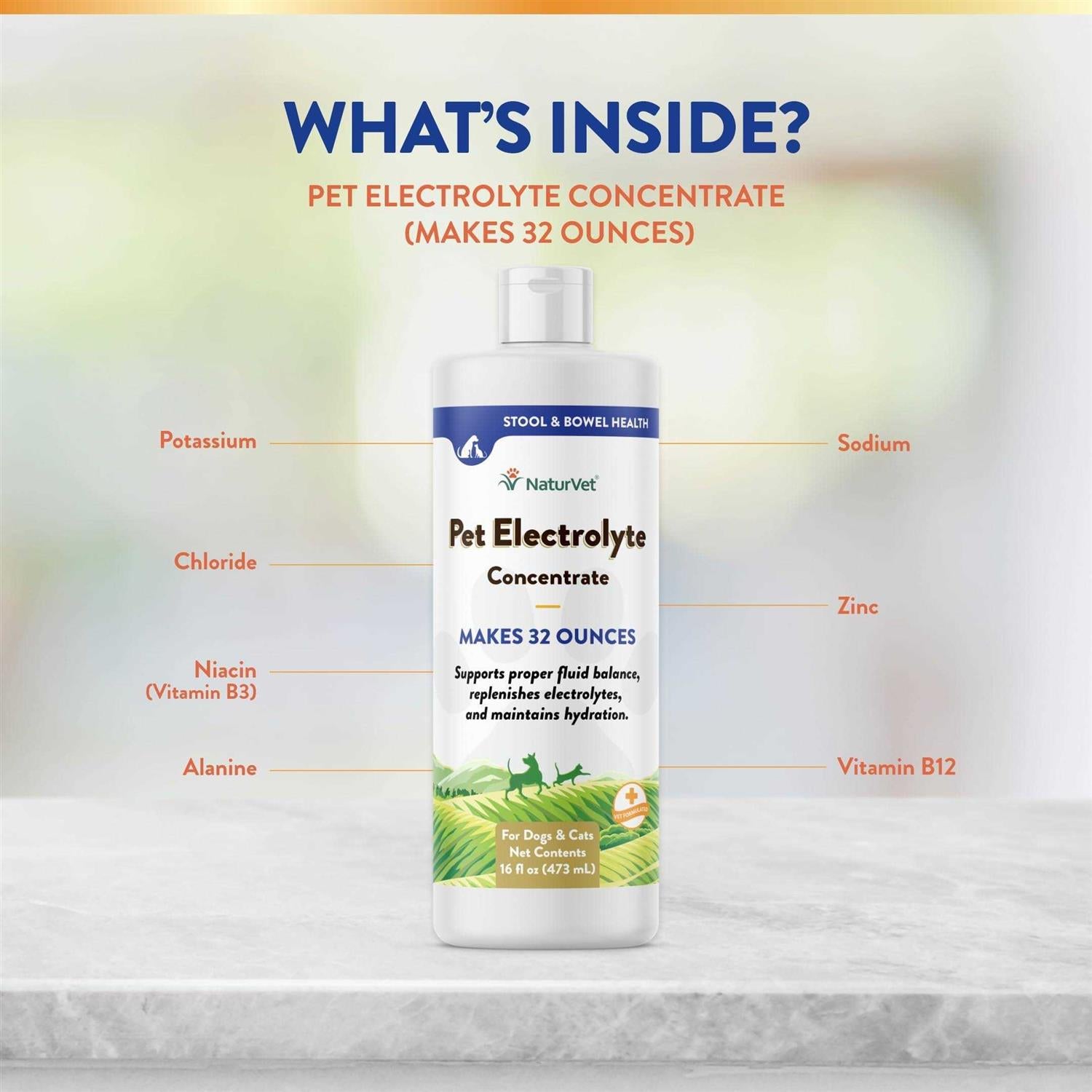 16 oz Pet Electrolyte Concentrate X38724