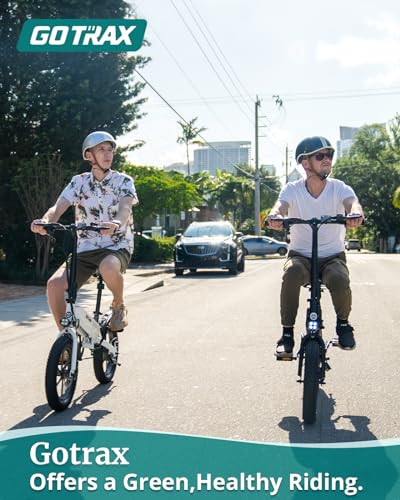 16x3.0 Fat Tire Folding Electric Bike with Removable Battery O554160