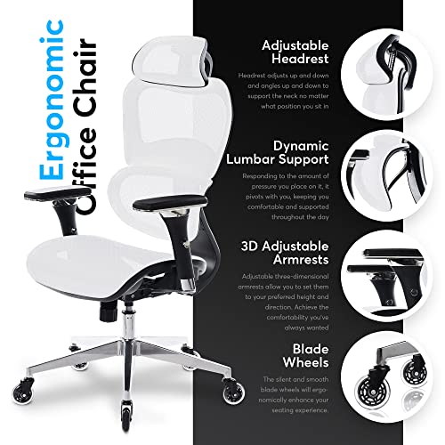 Ergonomic Office Chair with 4D Adjustable Armrest, Mesh (Black) Y871