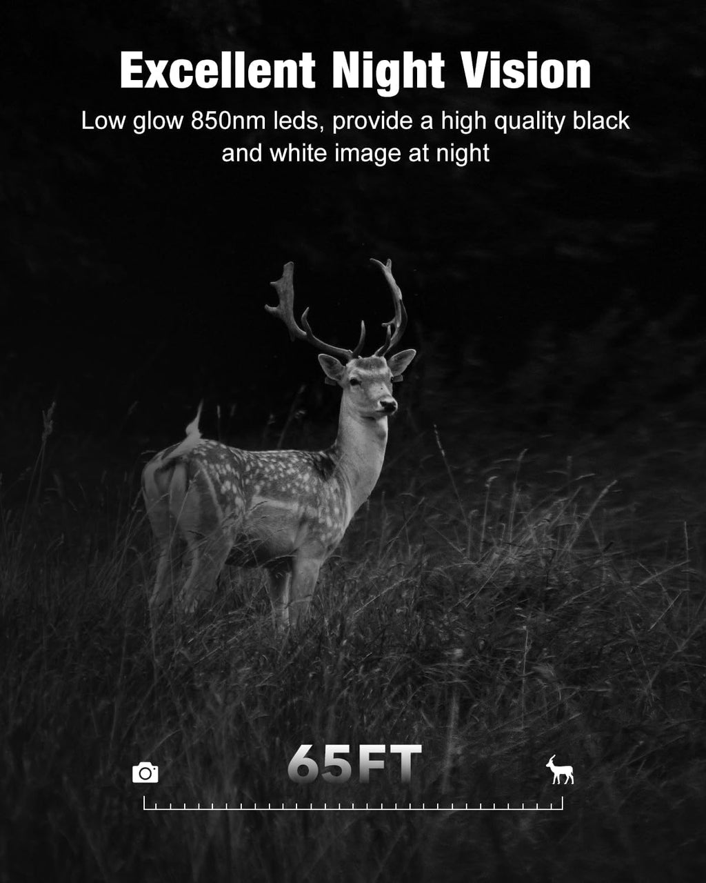 4G LTE Cellular Trail Camera with Solar Power D365