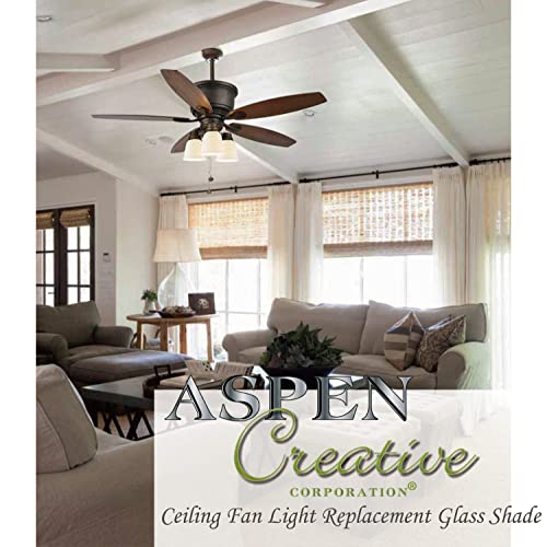 Clear Seeded Ceiling Fan Replacement Glass Shade, 4-3/4" D x 4-3/4" H, 4 Pcs N12531