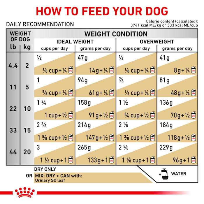 Veterinary Diet Canine Urinary SO Dry Dog Food Z202