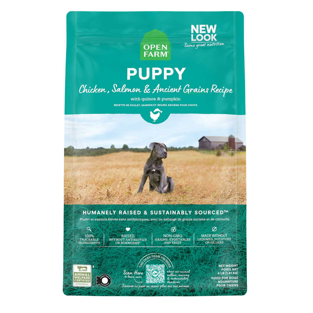 Pasture Raised Lamb Ancient Grains Dry Dog Food L459174