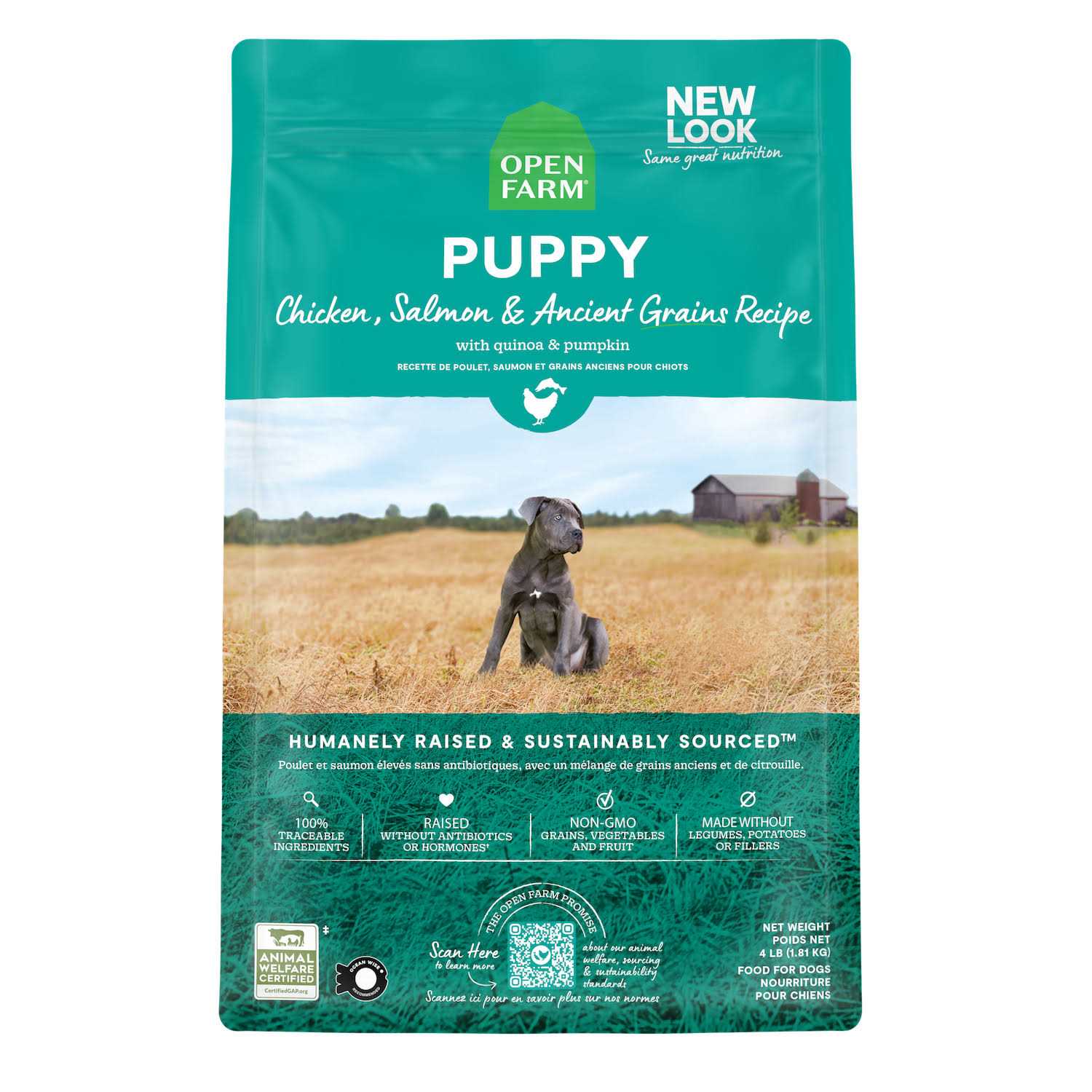 Pasture Raised Lamb Ancient Grains Dry Dog Food L459174