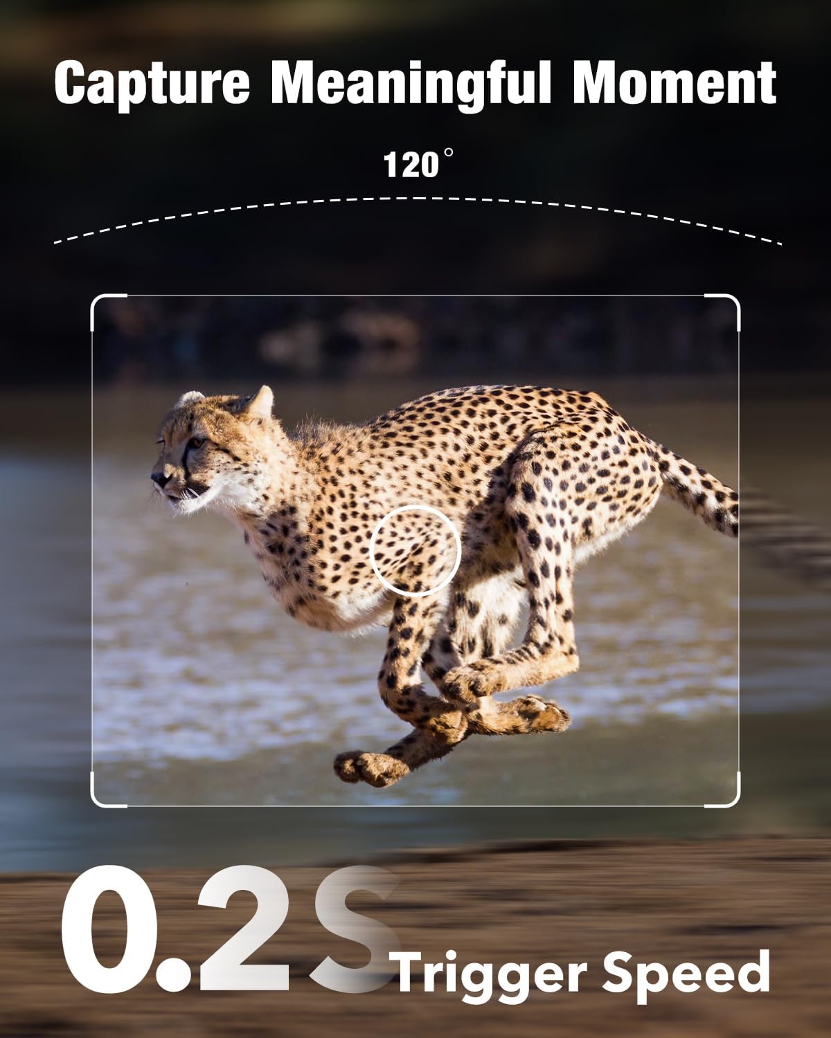 4G LTE Cellular Trail Camera with Solar Power D365