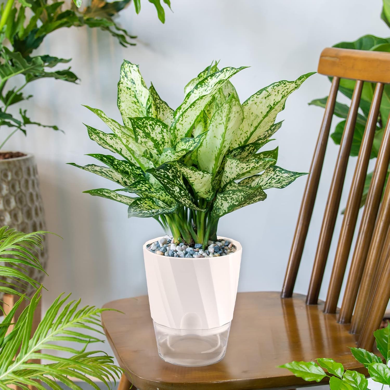 6 Pack Self Watering White Plant Pots Q7424