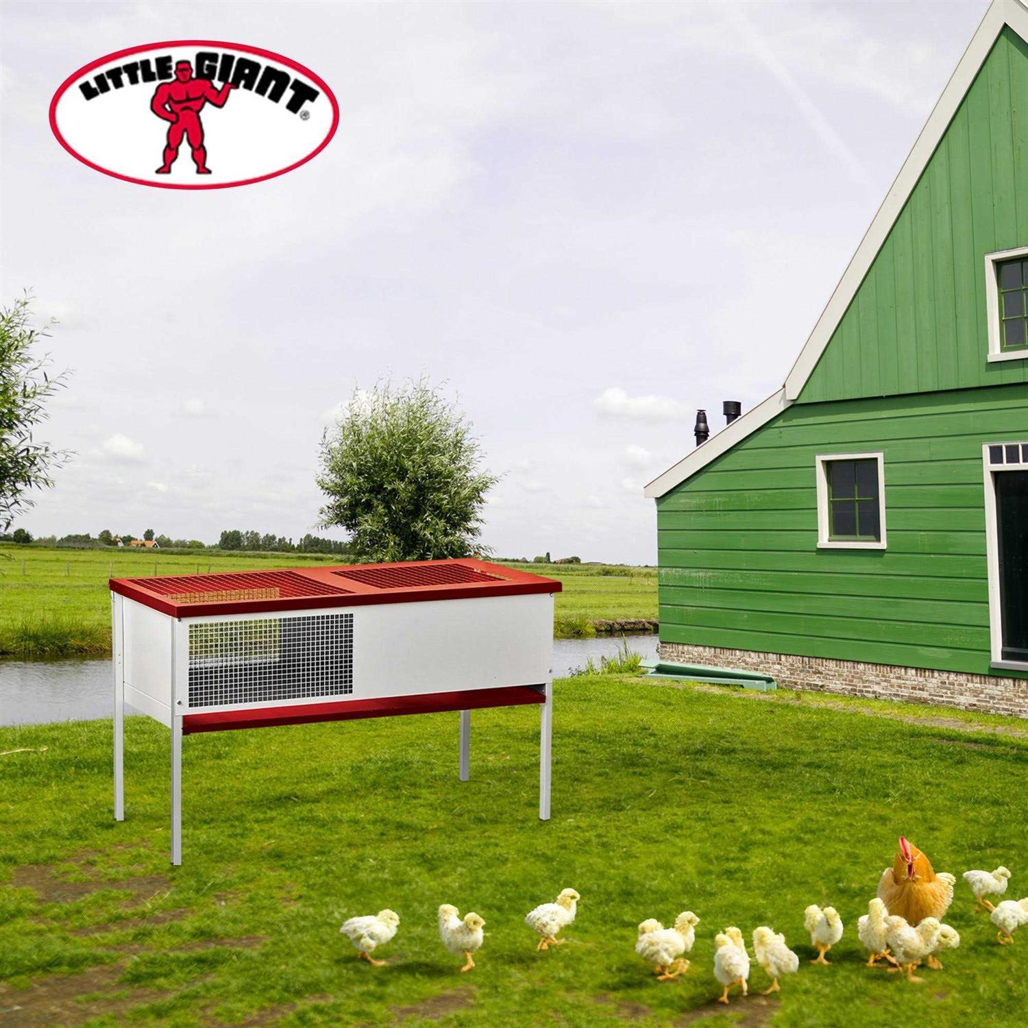 Galvanized Chick Brooder Box I7005