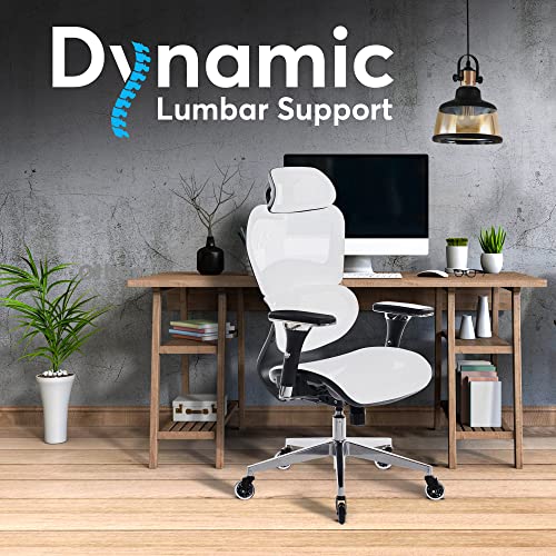 Ergonomic Office Chair with 4D Adjustable Armrest, Mesh (Black) Y871