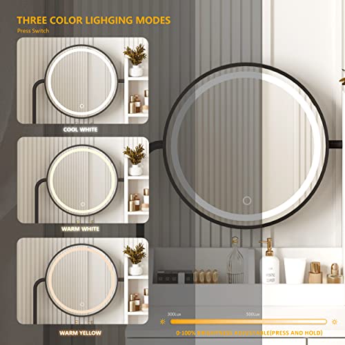 White Vanity Desk with Round Mirror and Lights and Hair Dryer Rack (Brown and Black, 15.75 * 31.5 * 53.6in) M372