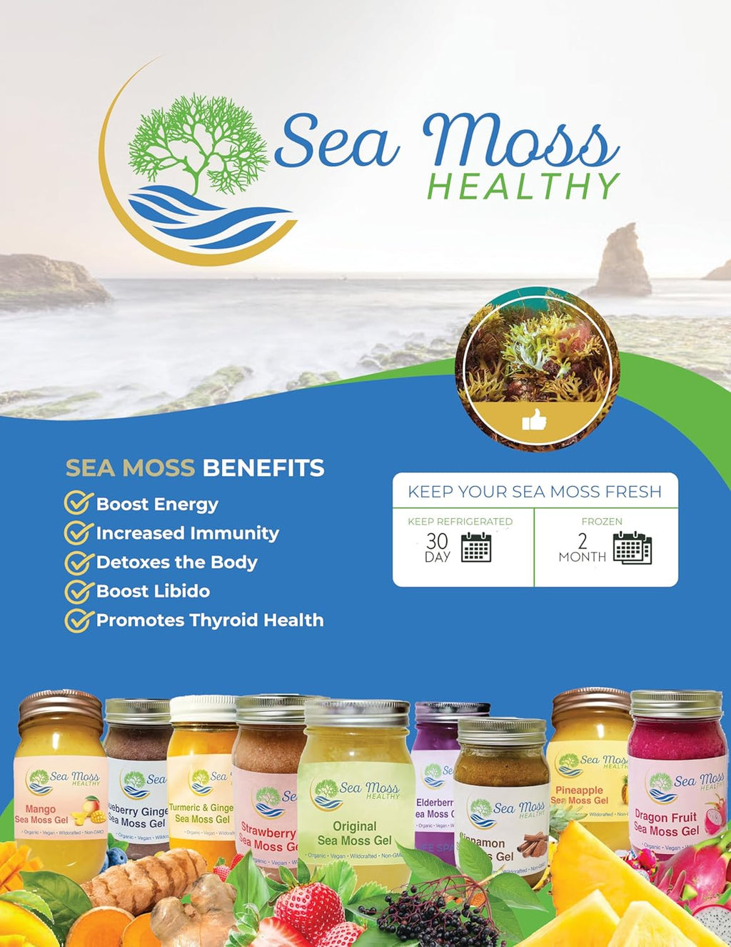 Blue Spirulina Blueberry Sea Moss Gel, 16 oz J7323