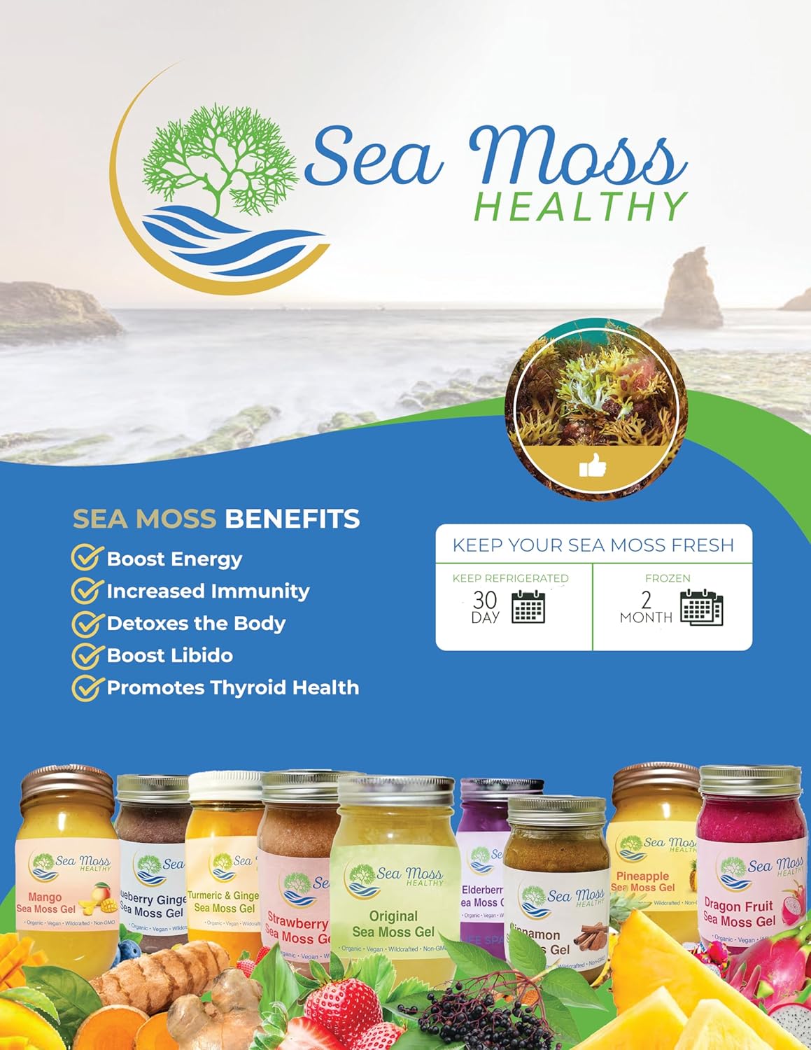 Blue Spirulina Blueberry Sea Moss Gel, 16 oz J7323