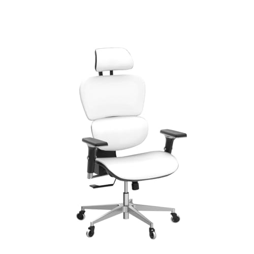 Ergonomic Office Chair with 4D Adjustable Armrest, Mesh (Black) Y871