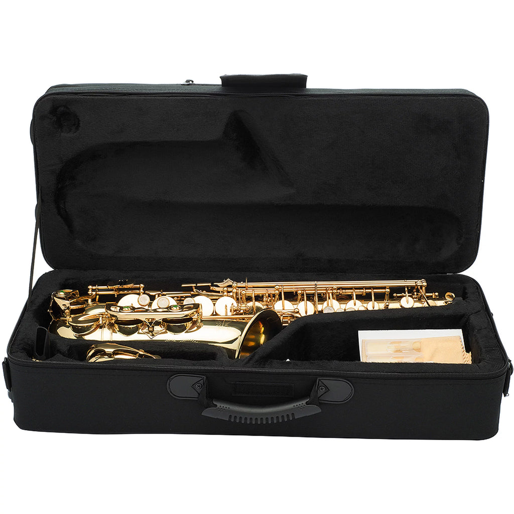 Intermediate Alto Saxophone with Case O794
