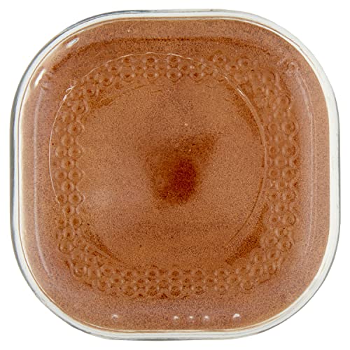 100% Arabica Instant Coffee Jar 100 gm L25056