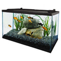 10 Gallon Glass LED Aquarium Kit Z21386