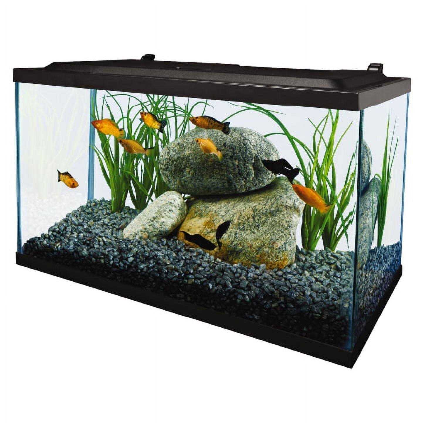 10 Gallon Glass LED Aquarium Kit Z21386