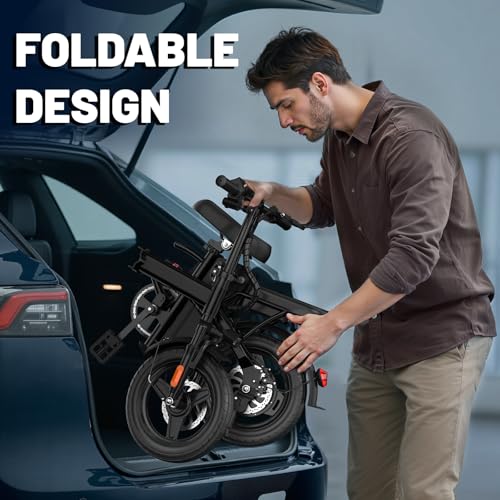 E Bike Electric Bike 500W Motor, Folding Ebike 14" 48V 10Ah Removable Battery L982