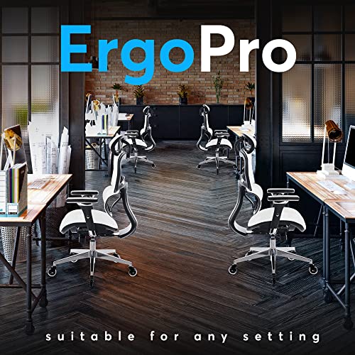 Ergonomic Office Chair with 4D Adjustable Armrest, Mesh (Black) Y871