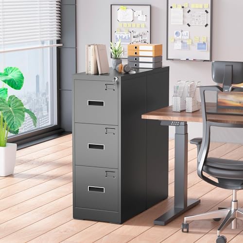 Black 2 Drawer Locking Metal File Cabinet V5690