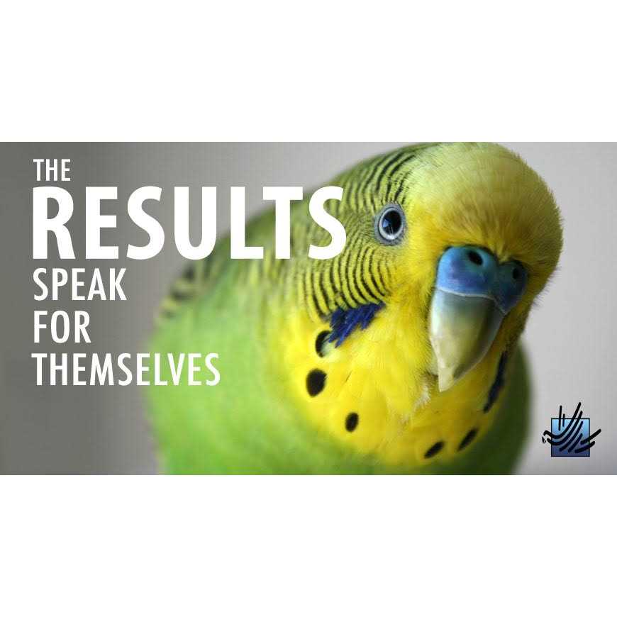 High Potency Fine Bird Foods V765