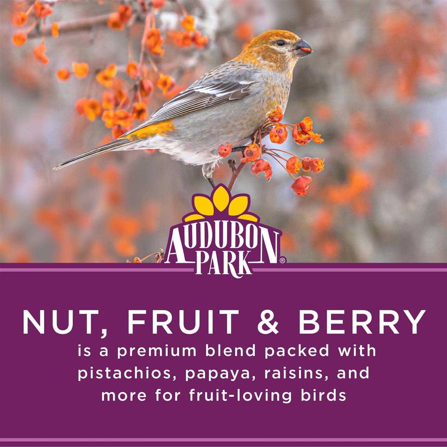 Nut Fruit & Berry Wild Bird Food T5571