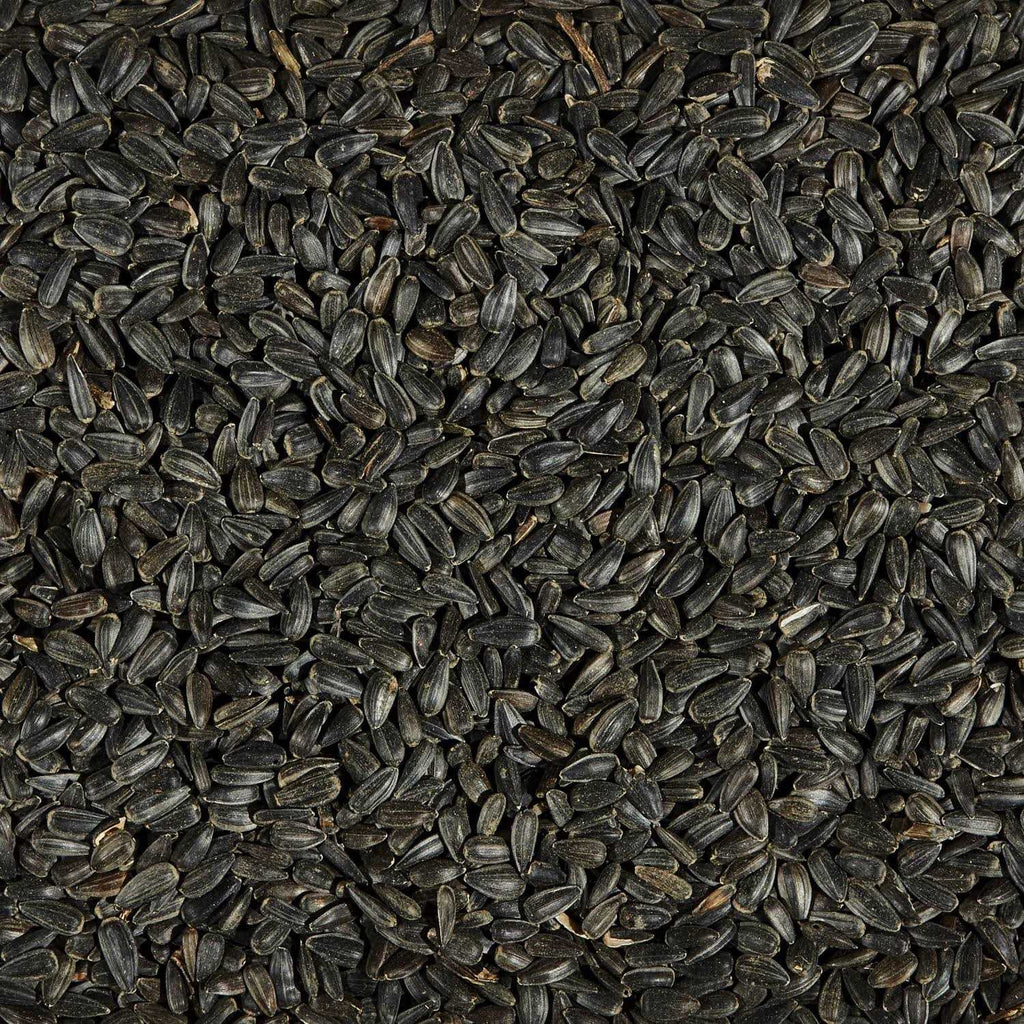 Black Oil Sunflower Seed Wild Bird Food K50732