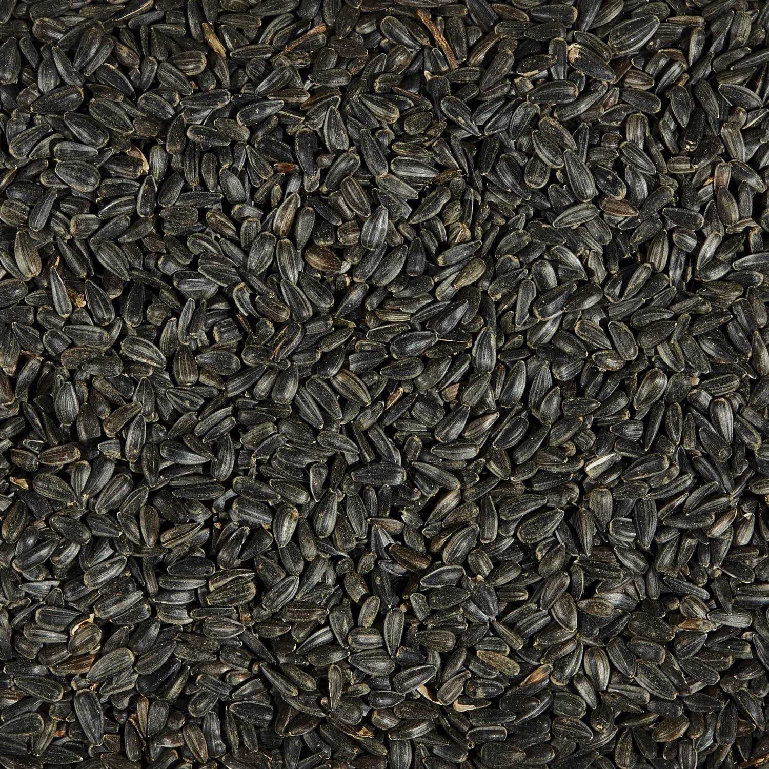 Black Oil Sunflower Seed Wild Bird Food K50732