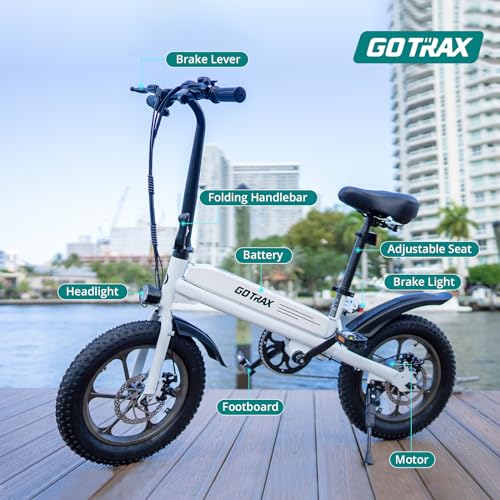 16x3.0 Fat Tire Folding Electric Bike with Removable Battery O554160