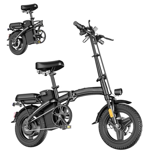 14" Mini Folding Electric Bike with 48V12AH Removable Battery L5387