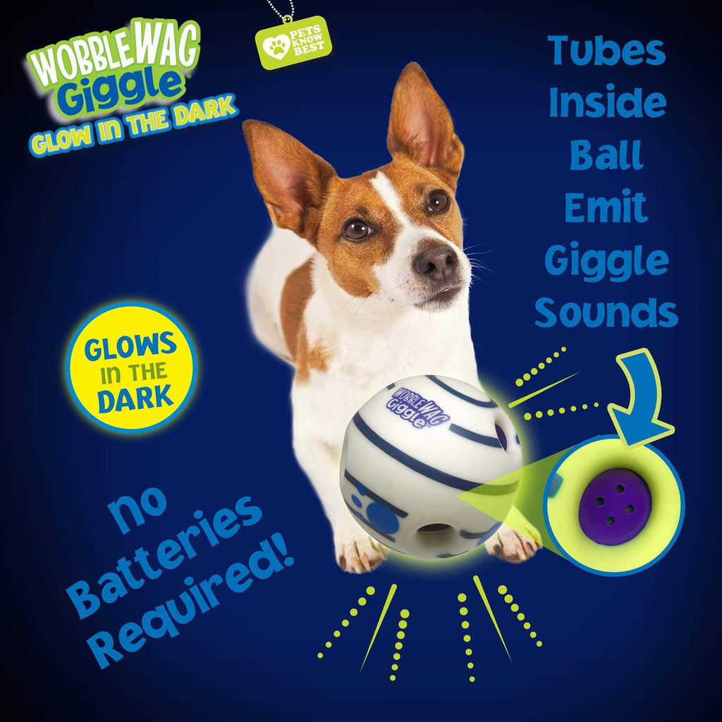 Interactive Dog Toy M793