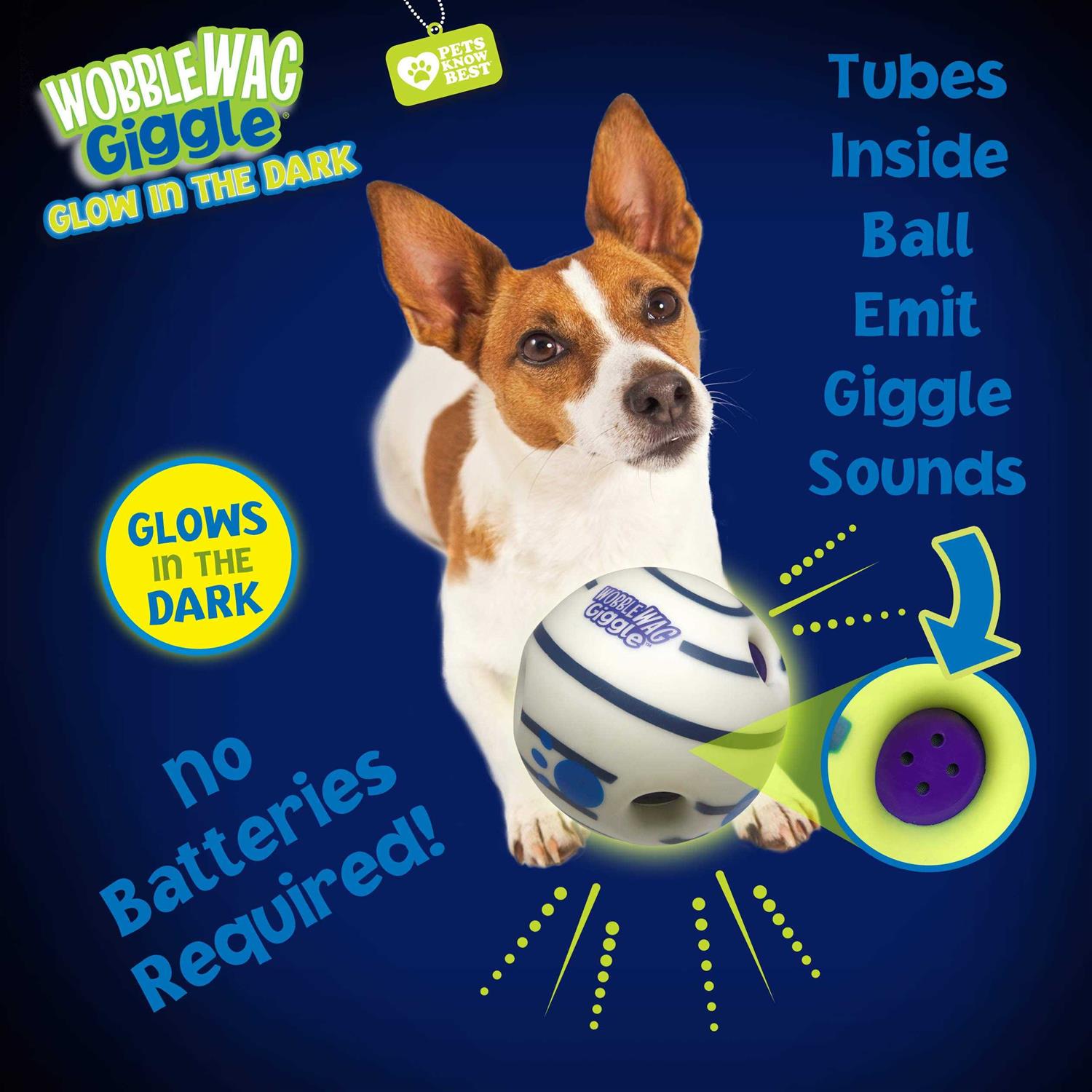 Interactive Dog Toy M793