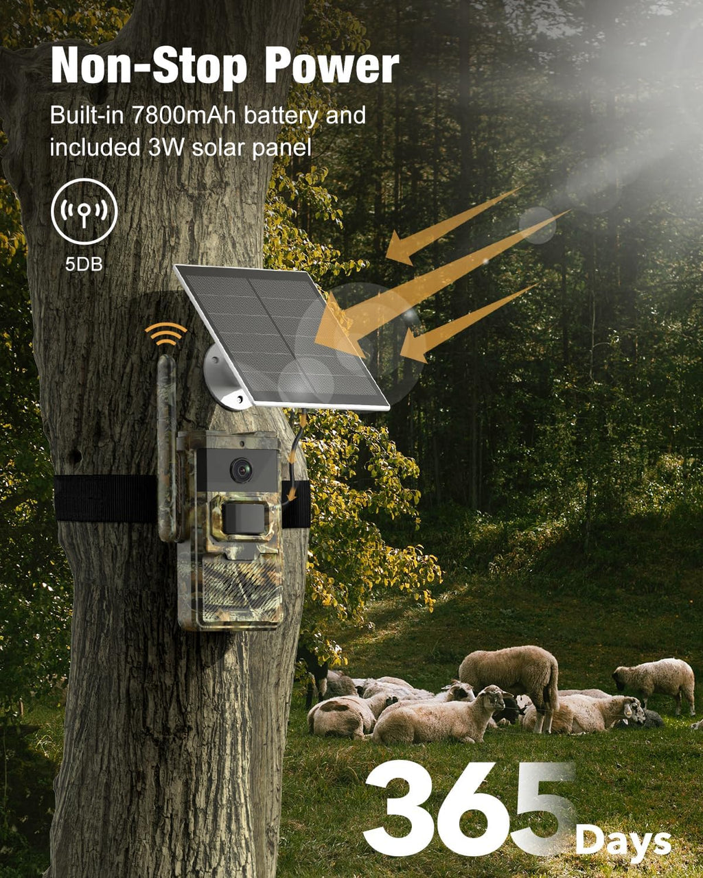 4G LTE Cellular Trail Camera with Solar Power D365