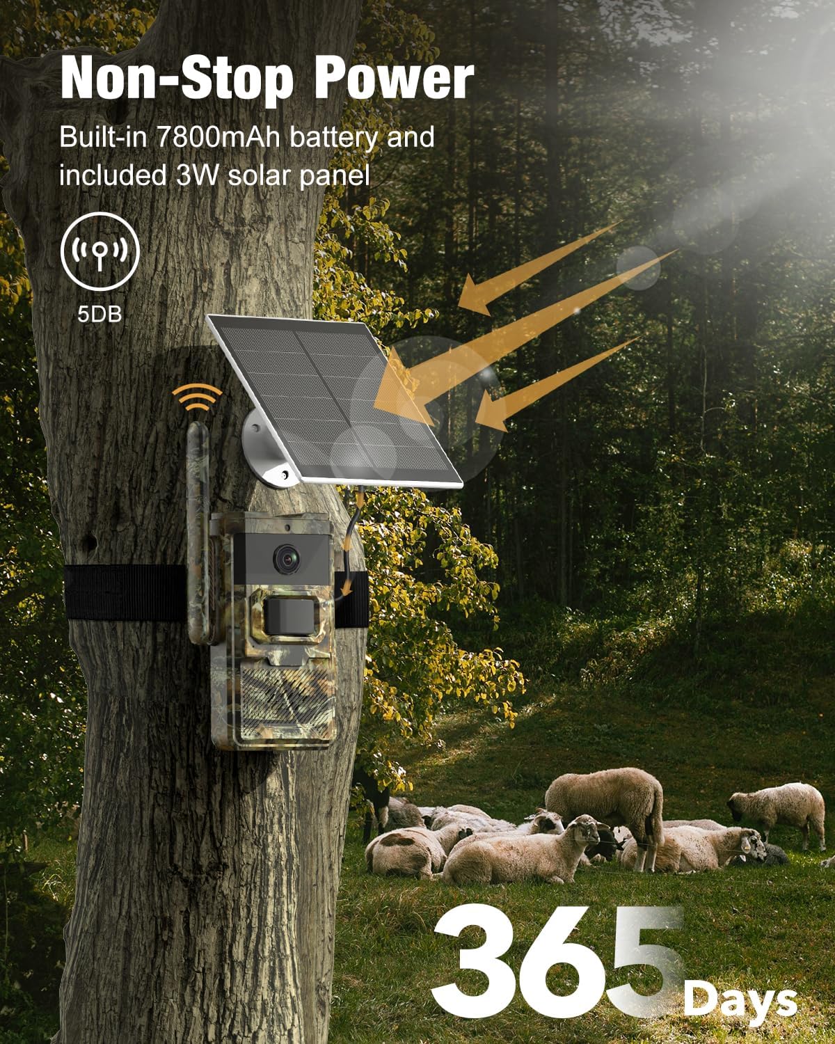 4G LTE Cellular Trail Camera with Solar Power D365