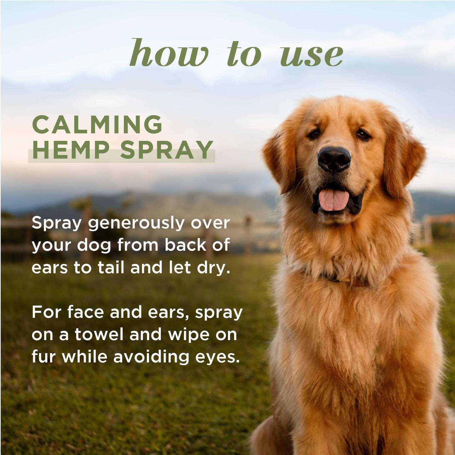 Calming Hemp Dog Spray Q97062