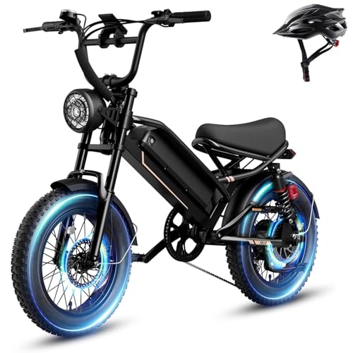 1500W 48V Removable Battery 16'' Fat Tire Full Suspension Electric Bike C5293