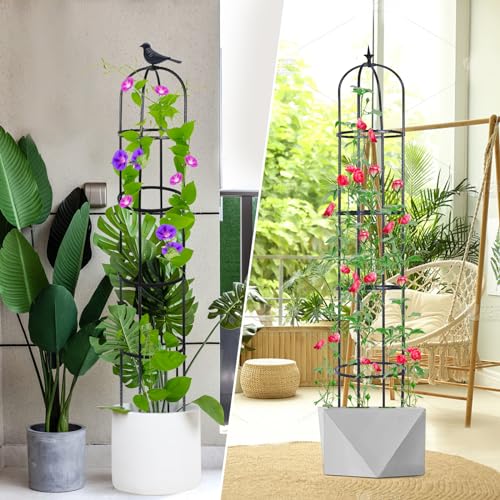 2 Pack 6ft Garden Obelisk Trellis for Climbing Plants J136