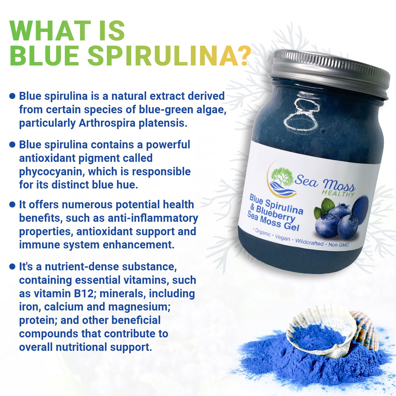 Blue Spirulina Blueberry Sea Moss Gel, 16 oz J7323