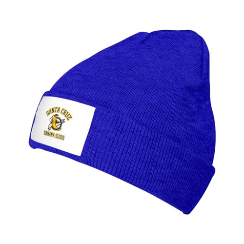 Classic Warm Winter Knit Fleece Lined Beanie Hat L49525