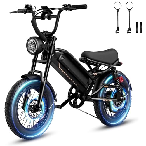 1500W 48V Removable Battery 16'' Fat Tire Full Suspension Electric Bike C5293